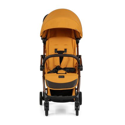 Leclerc Influencer Air bb車