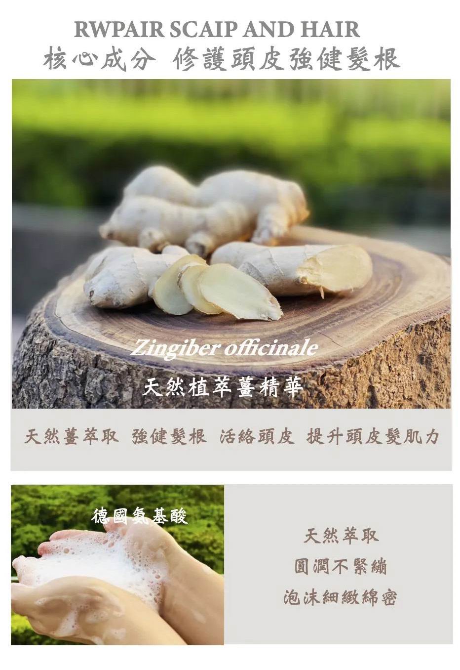 薑心比心 原萃薑芬洗髮精 (薑養純露洗髮精) 360ml